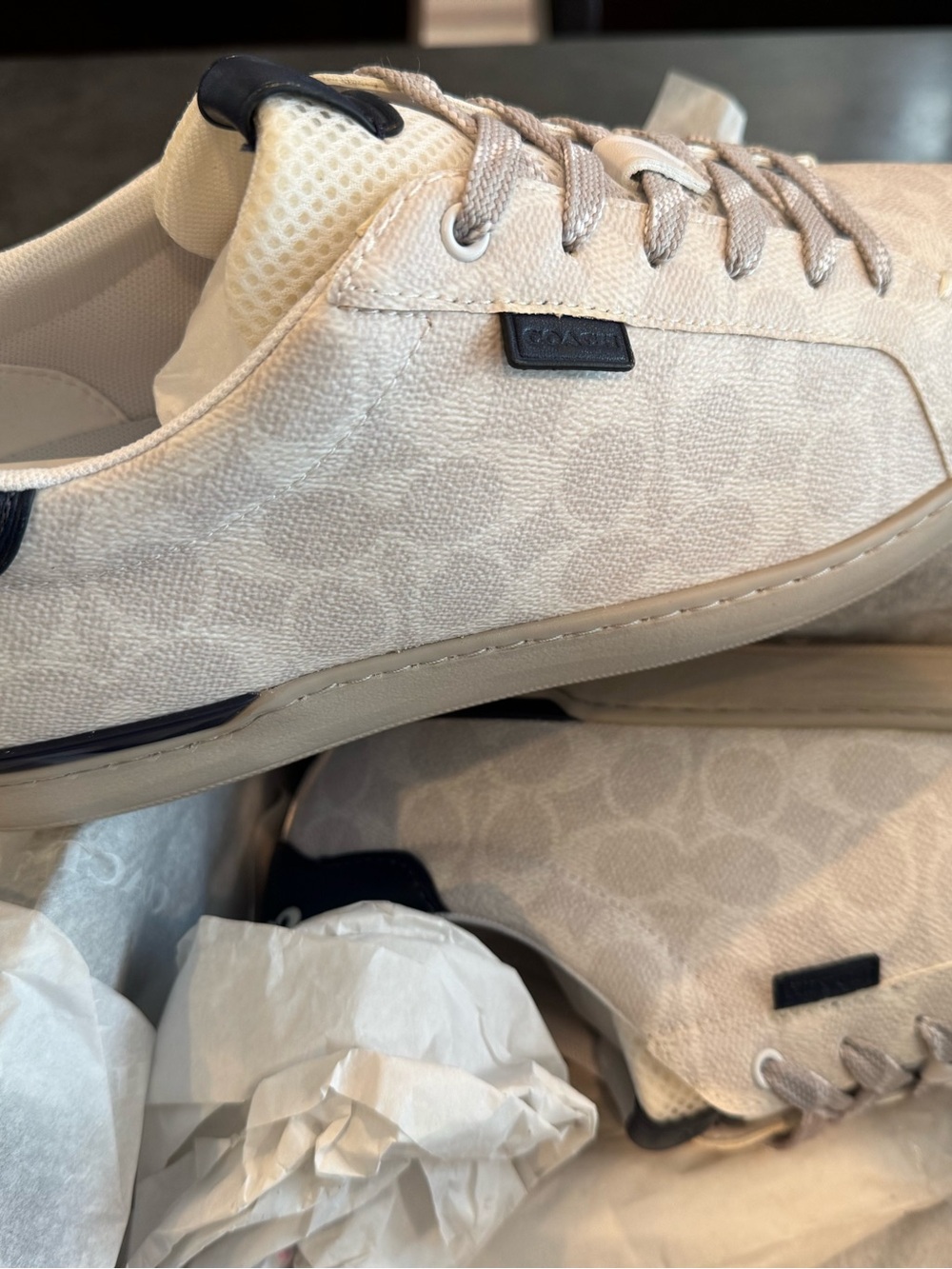 New in box Coach Lowline Low Top Sneakers – Chalk / Cobalt – Men’s 11.5D - Picture 4 of 8